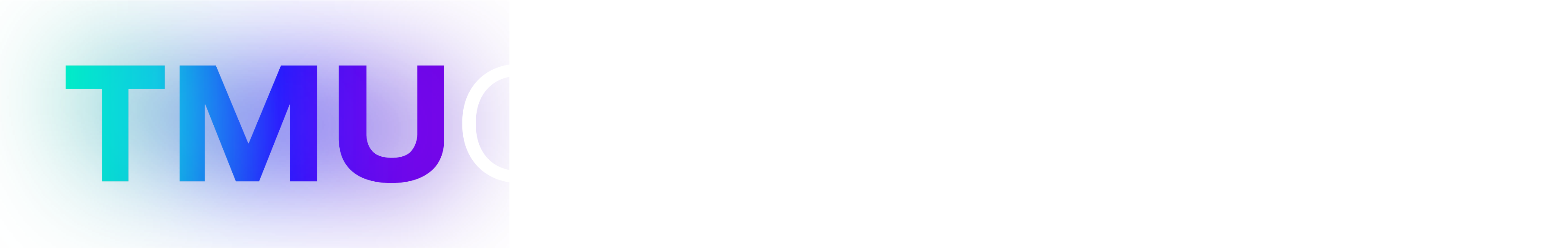 TMU Cyber Summit CTF